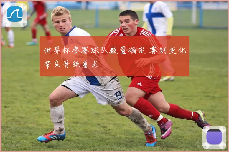 世界杯参赛球队数量确定 赛制变化带来晋级看点
